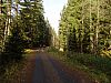 DSC05721.jpg